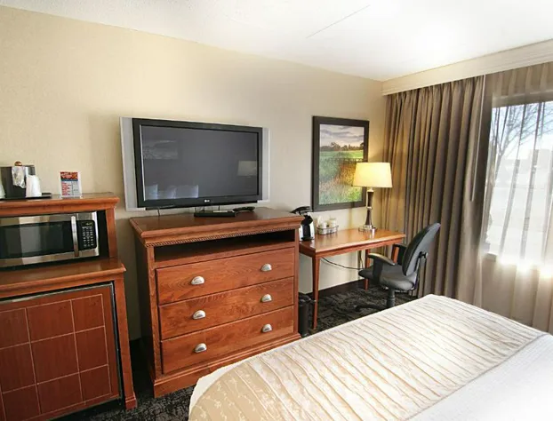 C'mon Inn Hotel & Suites hotel detail image 4