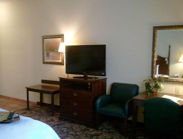 Hampton Inn & Suites Del Rio hotel detail image 4