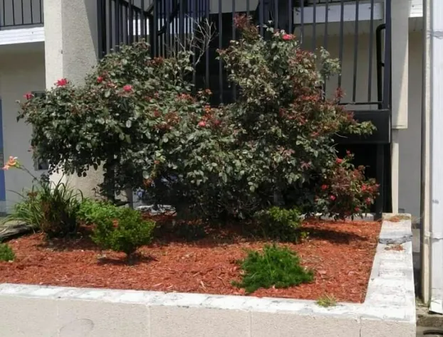 Stay 4 Less hotel detail image 1