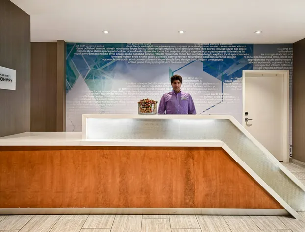 SpringHill Suites by Marriott Atlanta Kennesaw hotel detail image 4