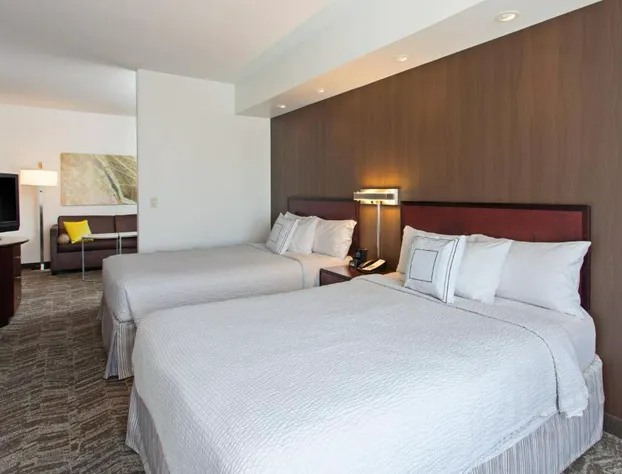 SpringHill Suites by Marriott El Paso hotel detail image 3