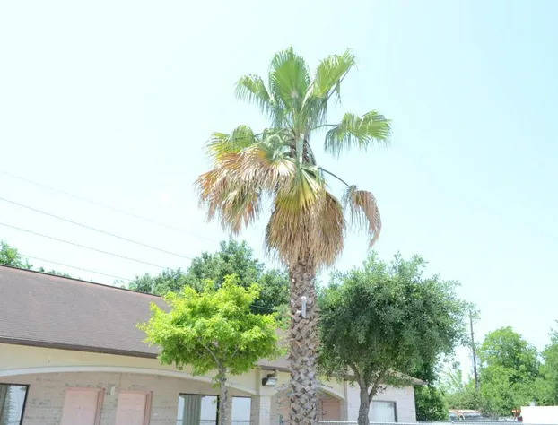 Texan Inn & Suites hotel detail image 3