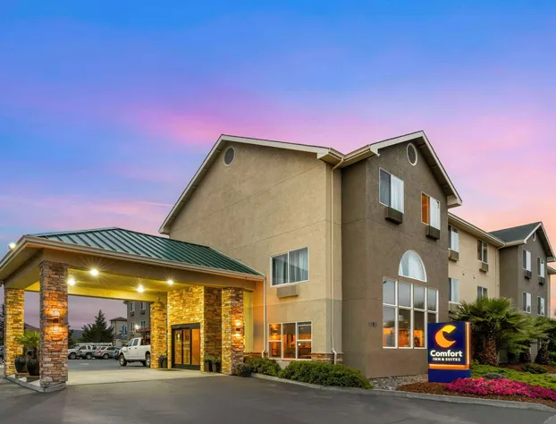 Comfort Inn & Suites Redwood Country hotel detail image 3