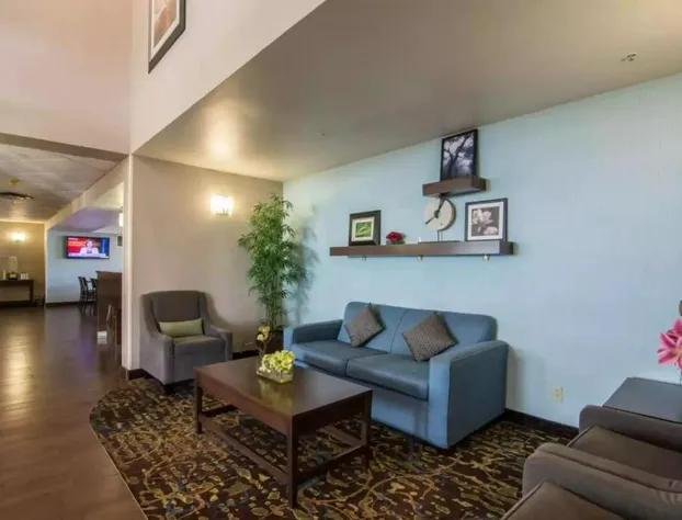 Comfort Inn And Suites South hotel detail image 2