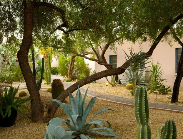 Lodge on the Desert hotel detail image 2