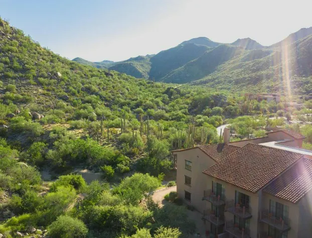 The Ritz-Carlton, Dove Mountain hotel detail image 3