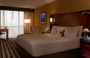 M Hotel Buffalo hotel detail image 2