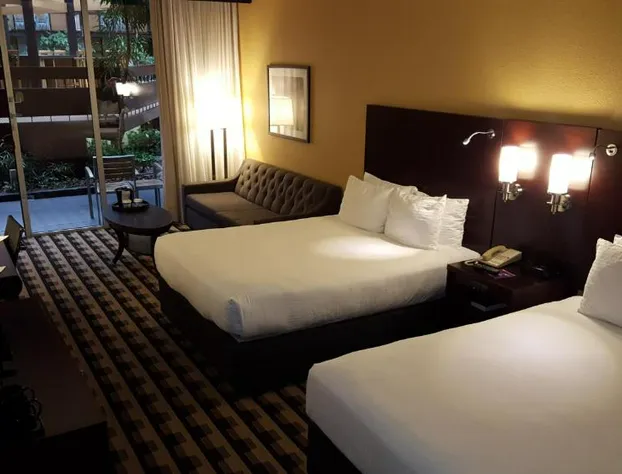 M Hotel Buffalo hotel detail image 3