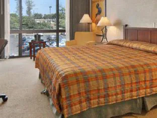 M Hotel Buffalo hotel detail image 4