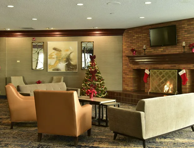 Radisson Hotel Niagara Falls-Grand Island hotel detail image 1