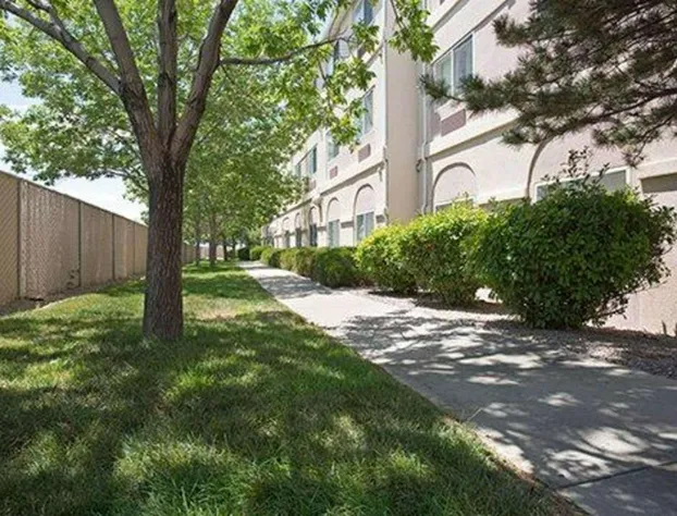 Comfort Inn & Suites Alameda at Albuquerque Balloon Fiesta Park hotel detail image 2