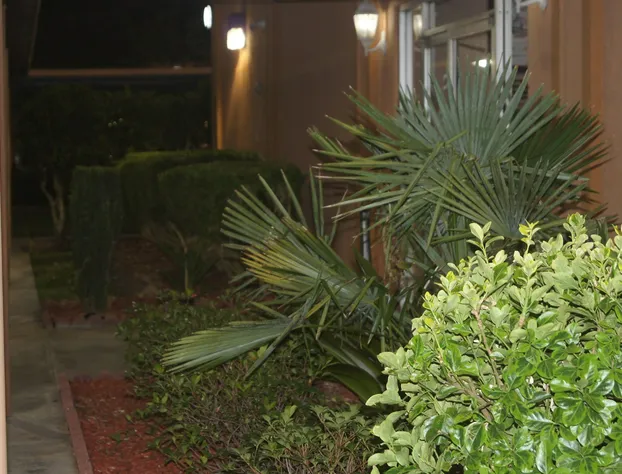 Royal Inn hotel detail image 2