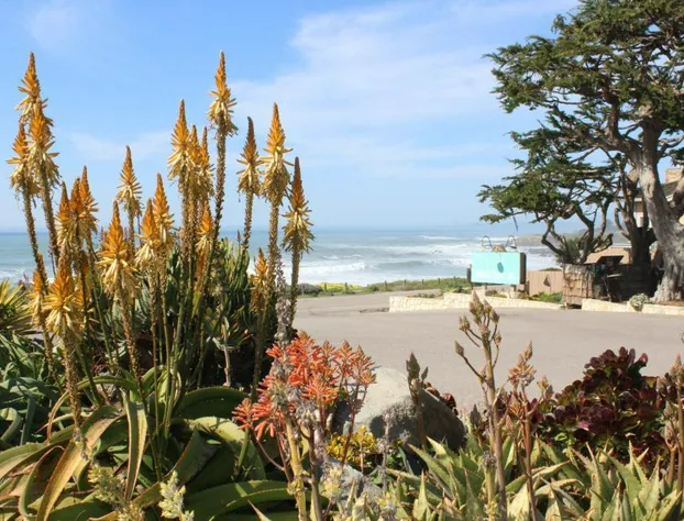 Cambria Shores Inn hotel detail image 4