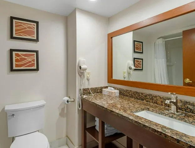Comfort Inn & Suites Spartanburg North hotel detail image 4