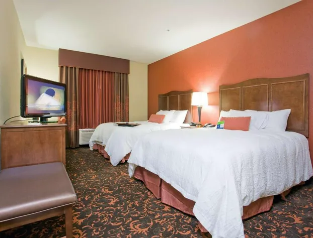 Hampton Inn & Suites New Braunfels hotel detail image 4