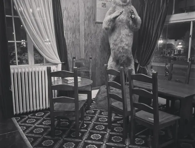 Van Gilder Hotel hotel detail image 2