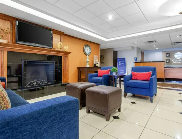 Comfort Inn & Suites Norman near University hotel detail image 3