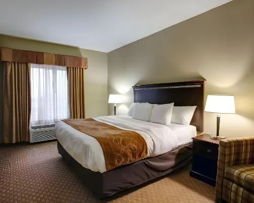 Comfort Suites Copperas Cove hotel detail image 3