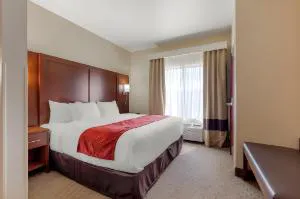 Comfort Suites Copperas Cove hotel detail image 4