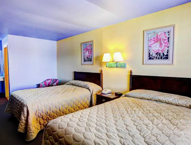 Nites Inn hotel detail image 4