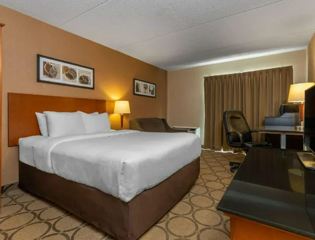 Comfort Inn Sydney hotel detail image 4