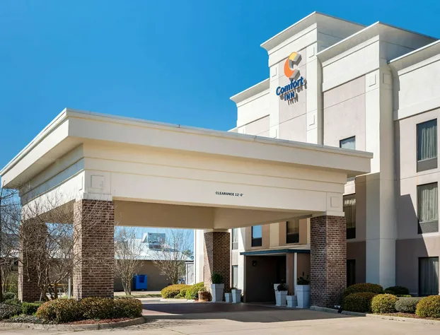 Comfort Inn Pearl-Jackson hotel detail image 4