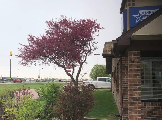 Americas Best Value Inn Onawa hotel detail image 3