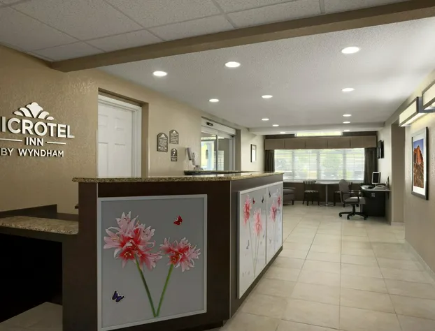 Microtel Inn By Wyndham Mineral Wells/Parkersburg hotel detail image 1