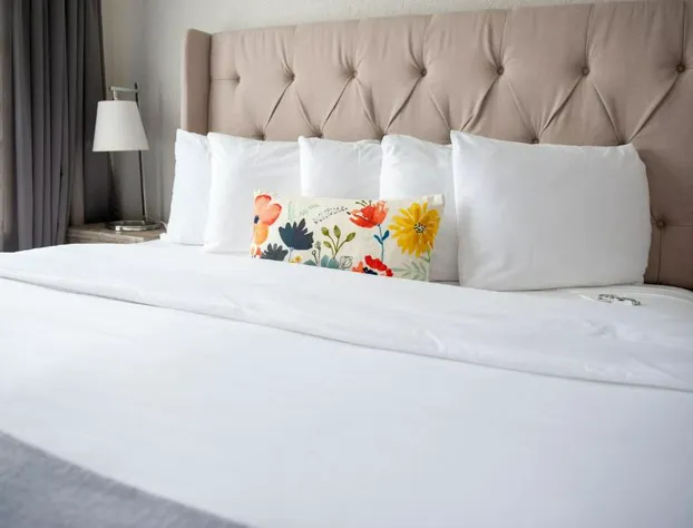 Artisan Downtown hotel detail image 3