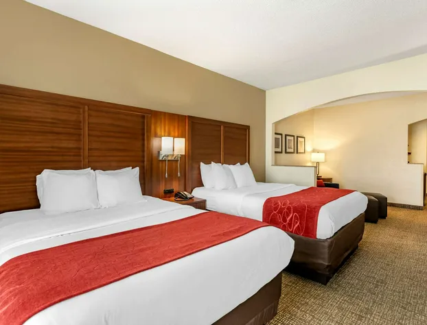 Comfort Suites Southaven - Memphis South hotel detail image 3
