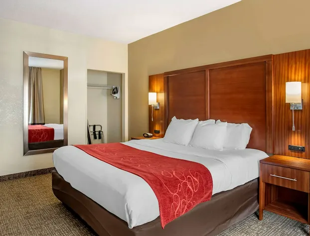 Comfort Suites Southaven - Memphis South hotel detail image 4