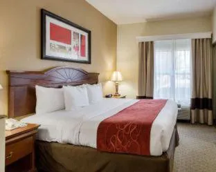 Comfort Suites Southaven - Memphis South hotel detail image 4