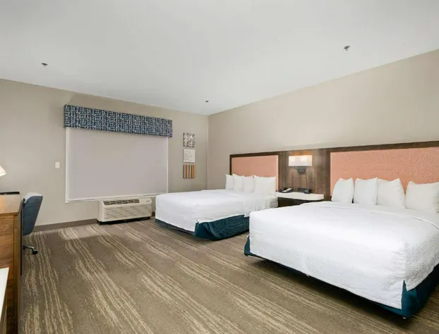 Hampton Inn & Suites Harlingen hotel detail image 2