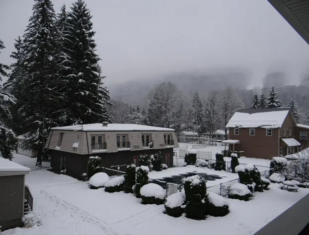 Edelweiss Ski Lodge hotel detail image 4