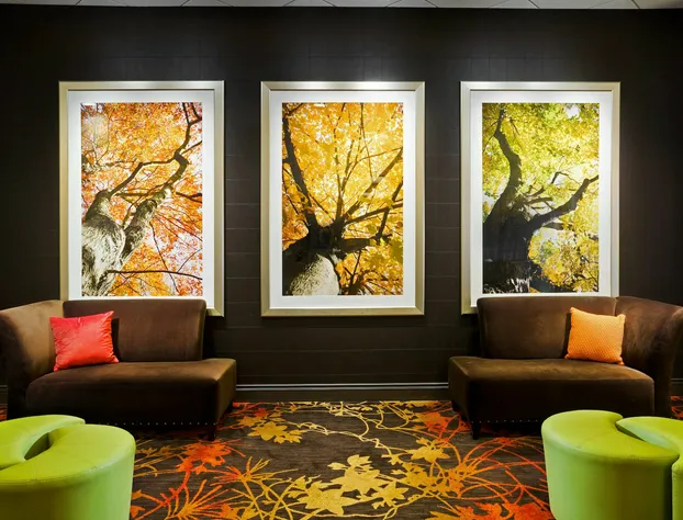 Sheraton Springfield Monarch Place Hotel hotel detail image 2