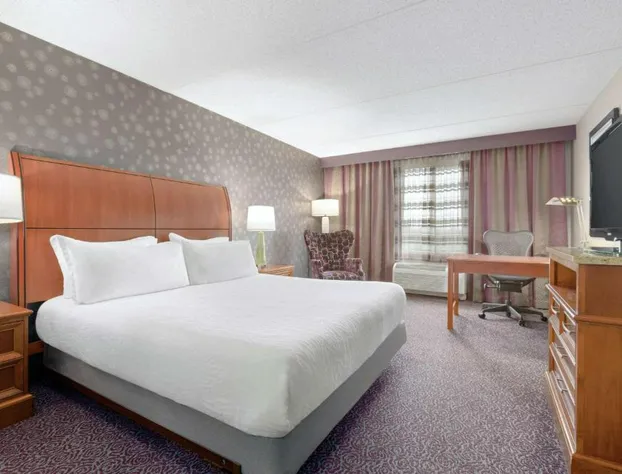 Hilton Garden Inn-Springfield, MA hotel detail image 4