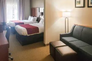 Comfort Suites South Point - Huntington hotel detail image 2