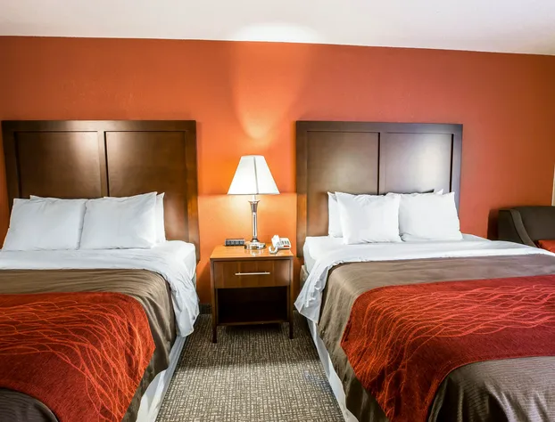 Comfort Inn near Great Smoky Mountain National Park hotel detail image 3