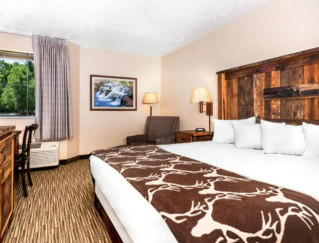 Bass Pro Shops Angler's Lodge hotel detail image 4