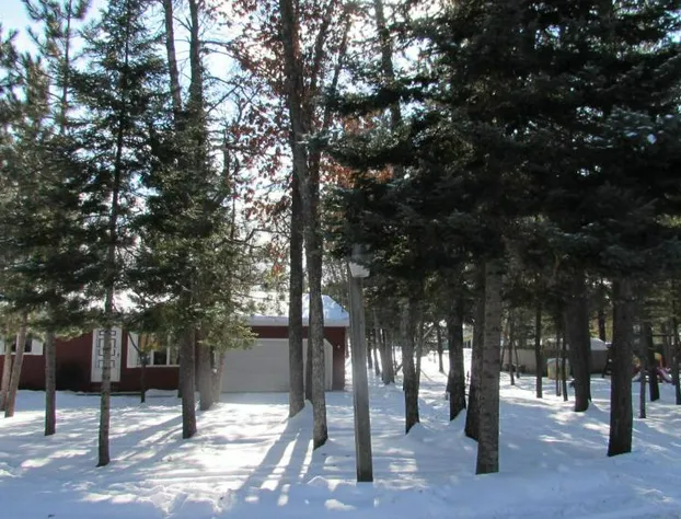 Woodland Motor Lodge hotel detail image 1