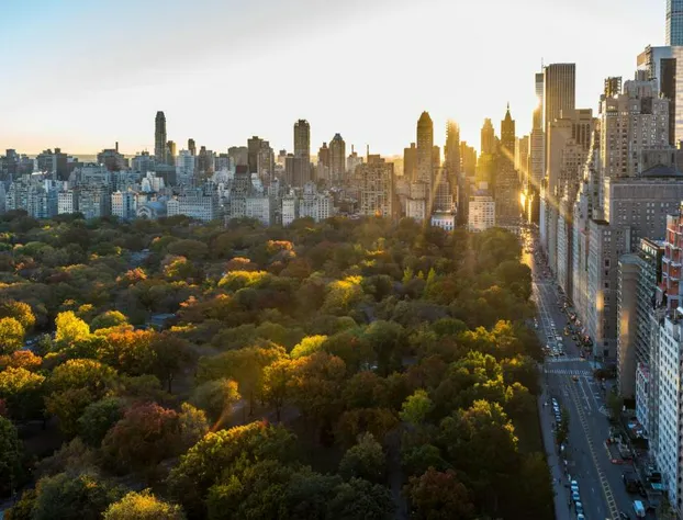 Thompson Central Park New York, by Hyatt hotel detail image 2