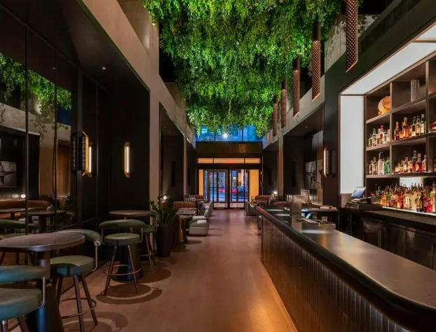 Thompson Central Park New York, by Hyatt hotel detail image 3