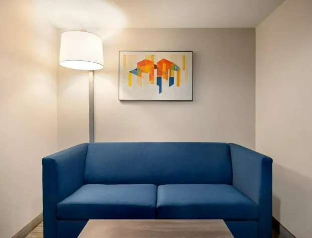 Holiday Inn Express Hotel & Suites Fredericksburg by IHG hotel detail image 4