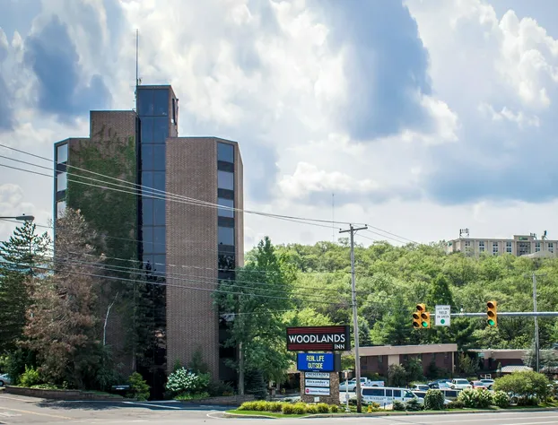 The Woodlands hotel detail image 3