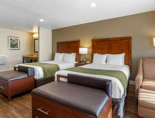 Comfort Inn Bishop hotel detail image 4