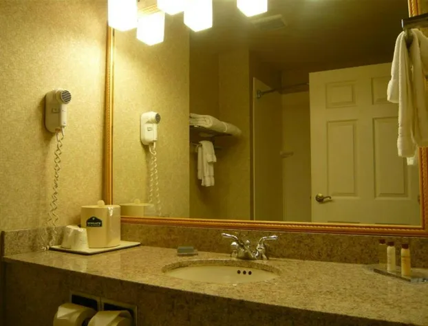 Wingate By Wyndham - Streetsboro hotel detail image 2