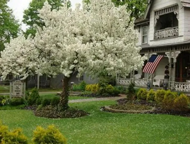 Rocking Horse Inn hotel detail image 3