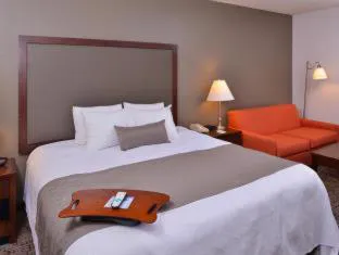 Best Western Plus Wichita West Airport Inn hotel detail image 4