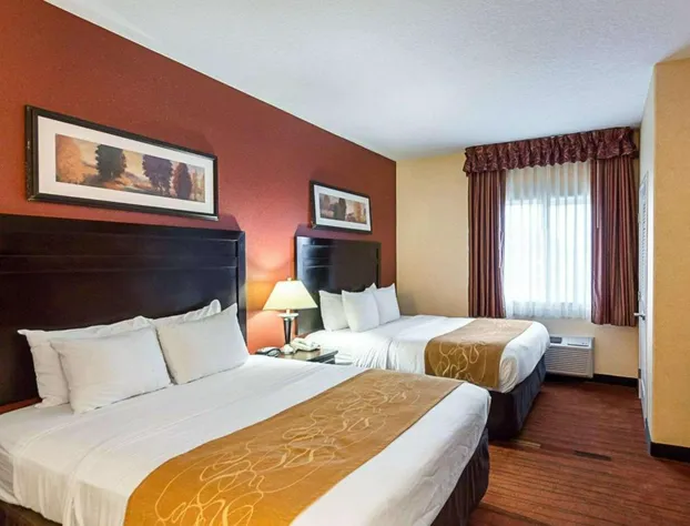 Comfort Suites Airport hotel detail image 4