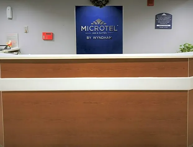 Microtel Inn & Suites by Wyndham Augusta/Riverwatch hotel detail image 3